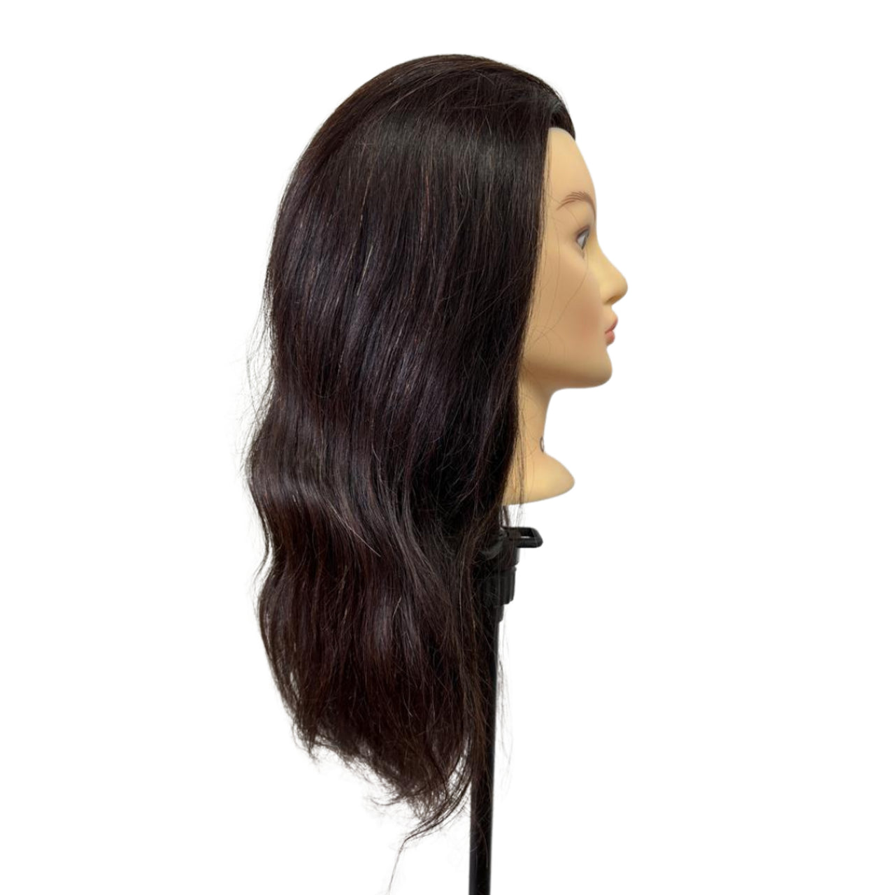 ICONIC Mannequin Head - Celine - 45cm - MV hair and beauty