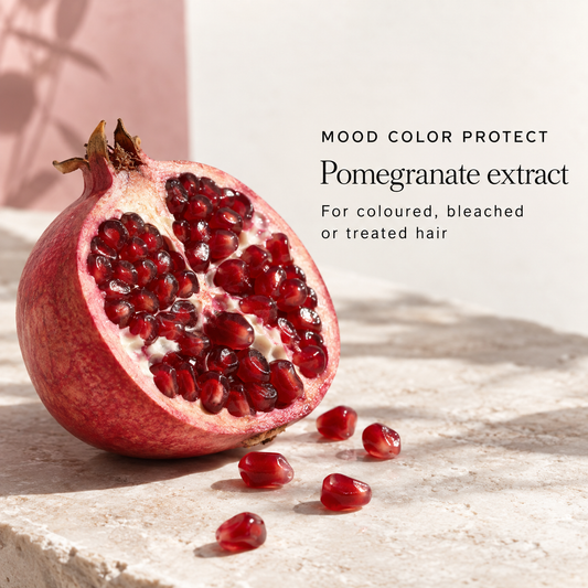MOOD Color Protect ingredient inspiration with pomegranate: for coloured, bleached or treated hair