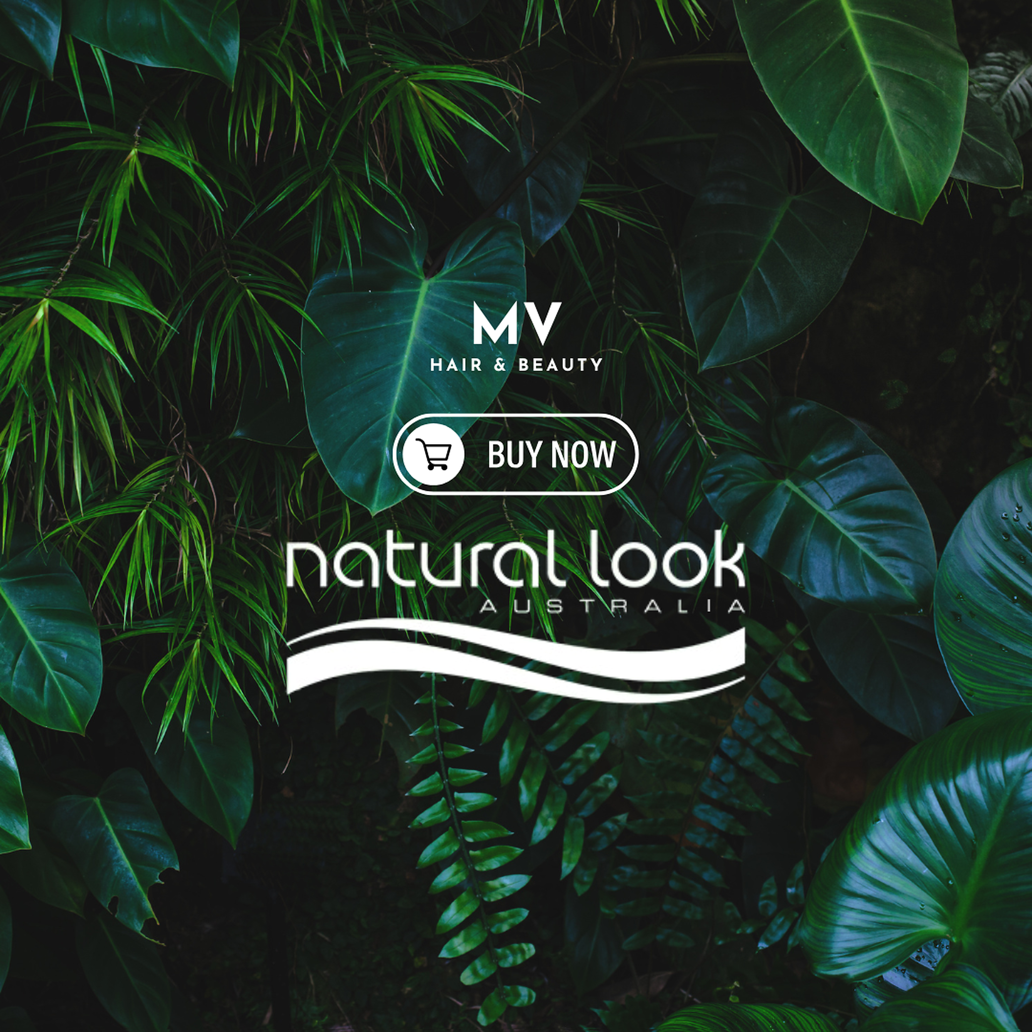 MV hair and beauty