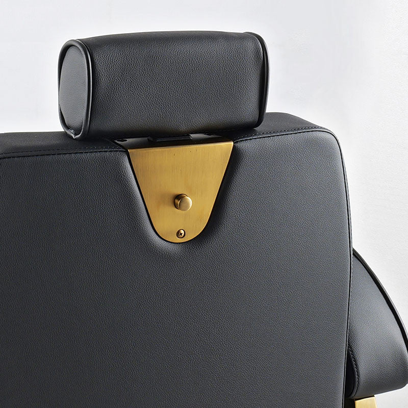 Hogo Barber Chair Matte Gold Frame — photo 9