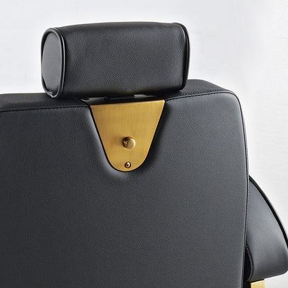 Hogo Barber Chair Matte Gold Frame — photo 9