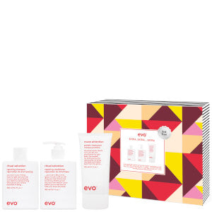 evo Extra, Extra Repair Trio - MV hair and beauty