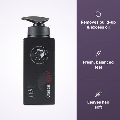 Hair 2 Beauty Charcoal Conditioner benefits graphic
