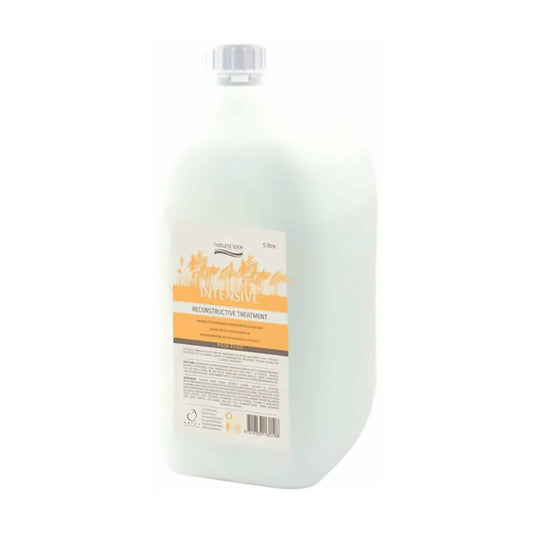 Natural Look Intensive Reconstructive Treatment 5 Litres