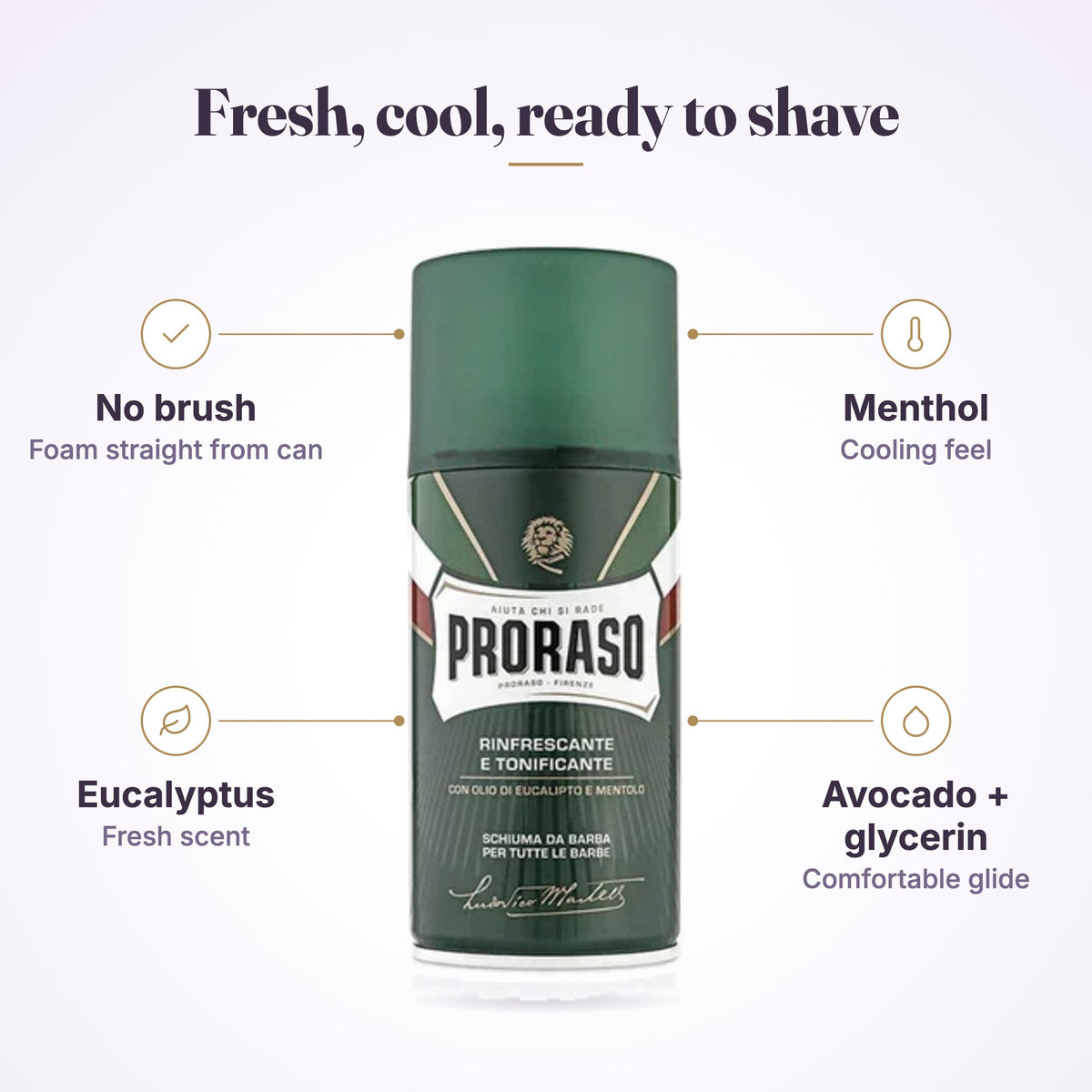 Proraso Shaving Foam Eucalyptus 300ml features infographic